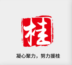 聚焦产业，致力援桂